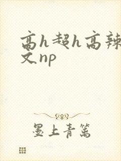 高h超h高辣h文np封面