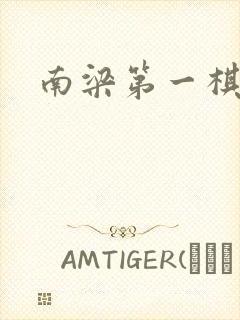 南梁第一棋手