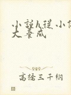 小说h从小做到大养成