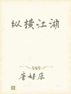 纵横江湖封面
