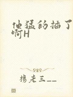 他猛的插了进去啊H