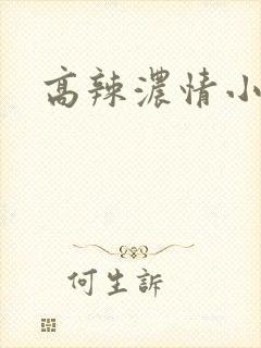 高辣浓情小说
