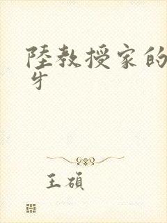 陆教授家的小月牙