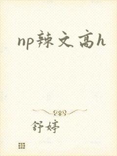 np辣文高h封面