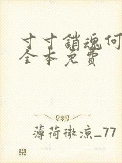 寸寸销魂何生祥全本免费