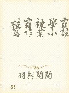 校霸被学霸压着写作业小说封面