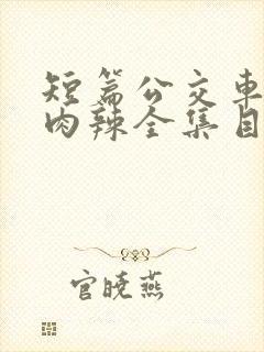 短篇公交车高h肉辣全集目录