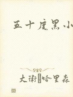 五十度黑小说封面