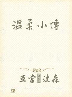 温柔小传