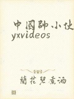 中国帅小伙gayxvideos封面