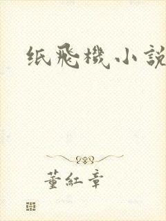 纸飞机小说