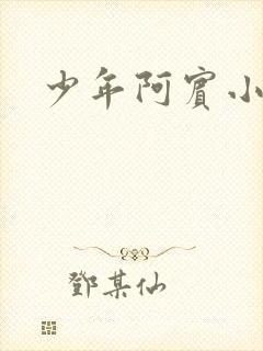 少年阿宾小说