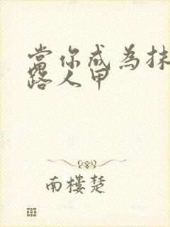 当你成为抹布文路人甲封面