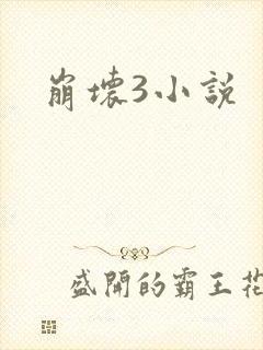崩坏3小说