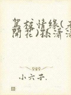 驾校情缘(老树开花)孙潇潇第一次趣笔阁