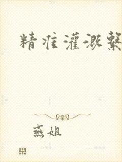 精准灌溉系统封面