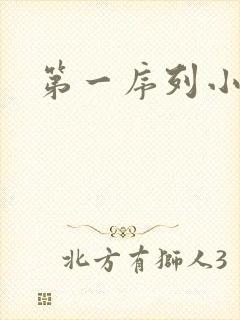 第一序列小说封面