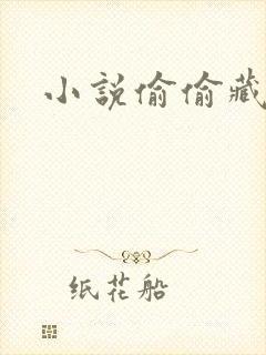 小说偷偷藏不住封面