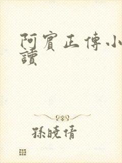 阿宾正传小说在读