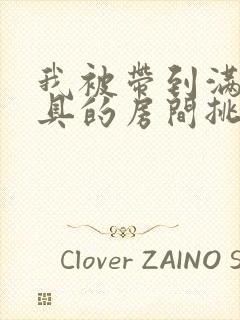 我被带到满是玩具的房间挑调作文