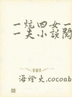 一炕四女一共侍一夫小说阅读