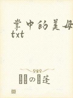 掌中的美母版主txt