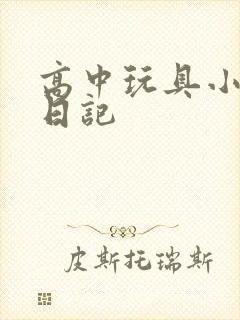 高中玩具小诗的日记封面