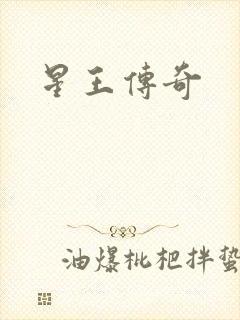 星王传奇