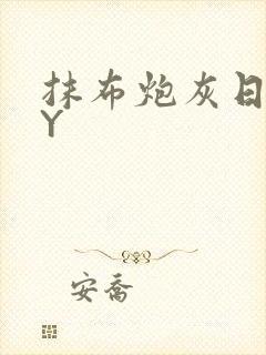 抹布炮灰日记BY封面