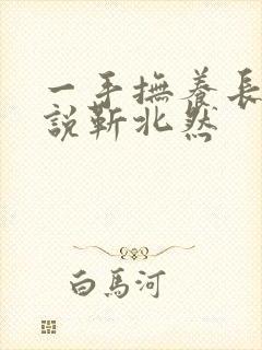 一手抚养长大小说靳北然