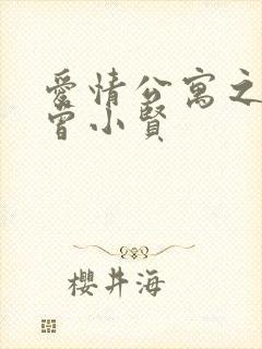 爱情公寓之极品曾小贤封面