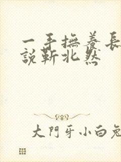 一手抚养长大小说靳北然