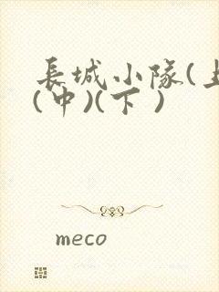 长城小队(上)(中)(下 )
