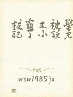 校霸又被学神标记了小说免费阅读封面