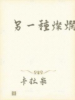 另一种灿烂生活封面