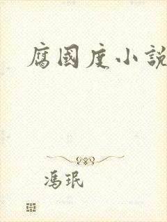 腐国度小说封面