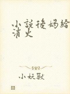 小说后妈给我消消火