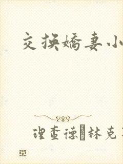 交换娇妻小说封面