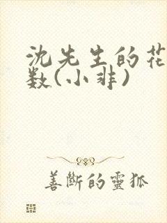 沈先生的花式调数(小非)