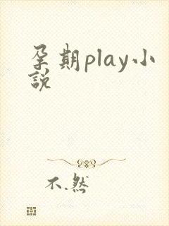 孕期play小说