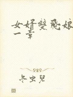 女婿双飞娘俩第一章