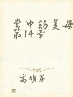 掌中的美母版主第14章