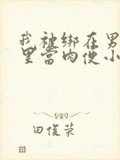 我被绑在男公厕里当肉便小说