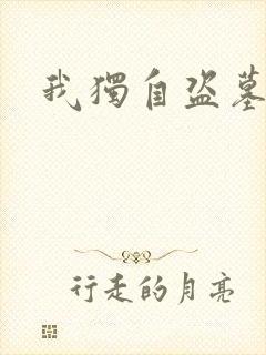 我独自盗墓封面