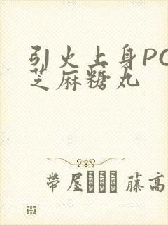 引火上身POP芝麻糖丸