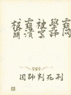 校霸被学霸玩到崩溃云译网