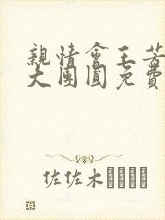 亲情会王芳高敏大团圆免费阅读封面