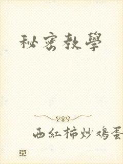 秘密教学