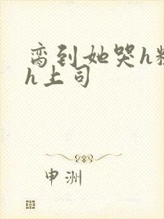 脔到她哭h粗话h上司封面