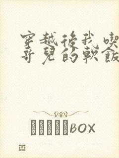 穿越后我吃到了哥儿的软饭炉山灰